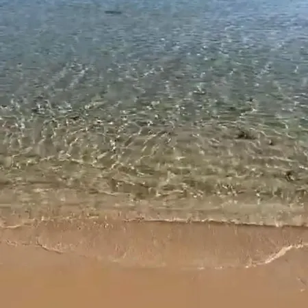 En 1ª Linea De Playa Con Parking Privado El Campello